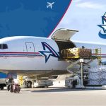 air cargo shipping