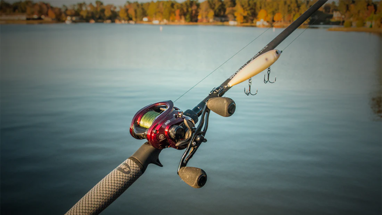 Beyond the Basics: Understanding Rod and Reel Pairings for Specific UK Fish Species