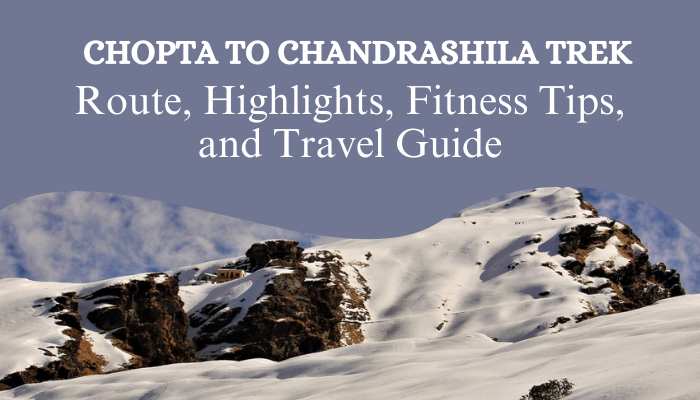 Chopta to Chandrashila Trek: Route, Highlights, Fitness Tips, and Travel Guide