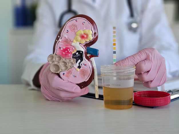 6 Steps to Maintain and Protect Kidney Health