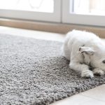 area rugs online