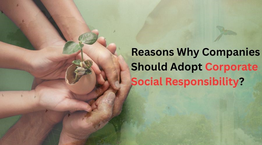corporate social responsibility