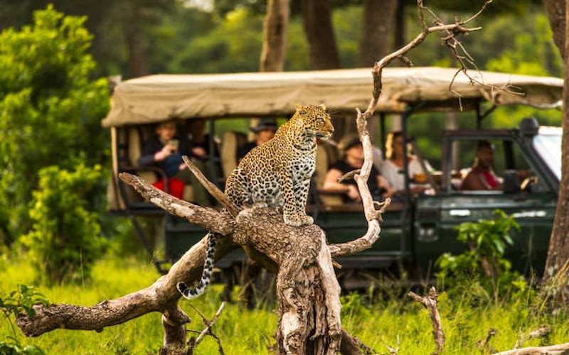 kenya safari dry vs wet season