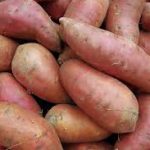 sweet potato supplier