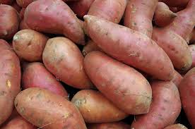 sweet potato supplier