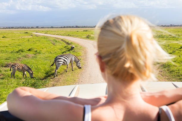 Best Safari Destinations to Explore on a Tanzania Tour