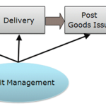 credit management