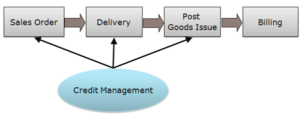 credit management