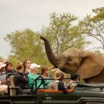 kenya and tanzania safari tours