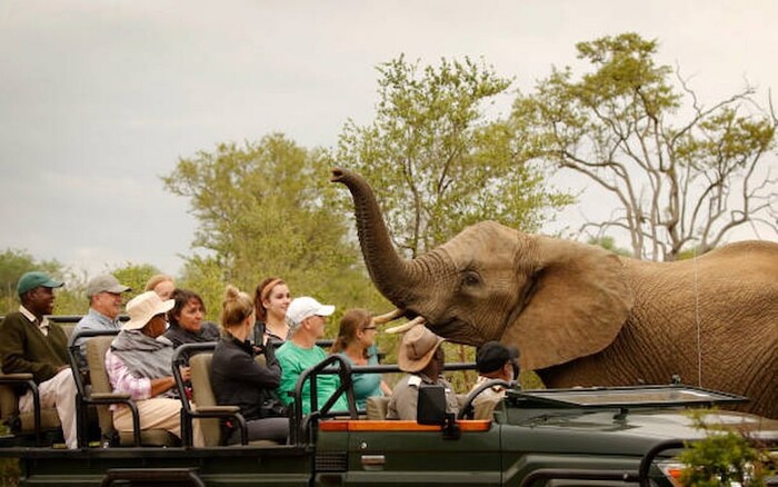 Combining Kenya and Tanzania Safari Tours: Is It Worth It?