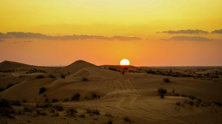 Top Reasons to Take a Musandam Dibba Tour from Dubai This Year