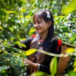 vietnamese coffee culture