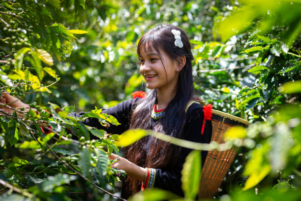 vietnamese coffee culture