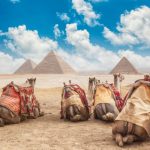 best time to visit egypt