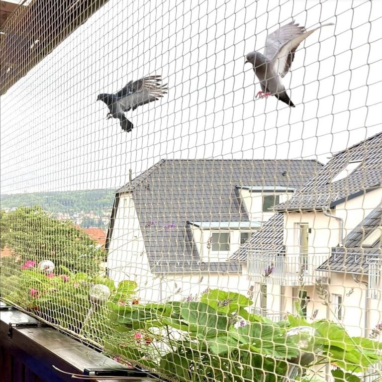 Keep Your Outdoor Space Spotless with Bird Nets