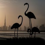 dubai safari park