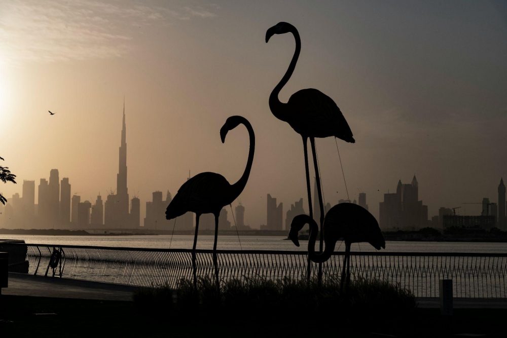 dubai safari park