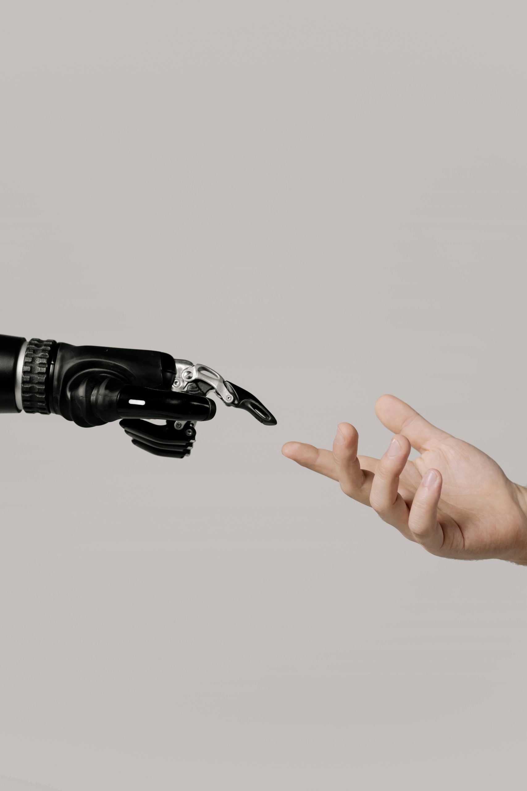 ai companion