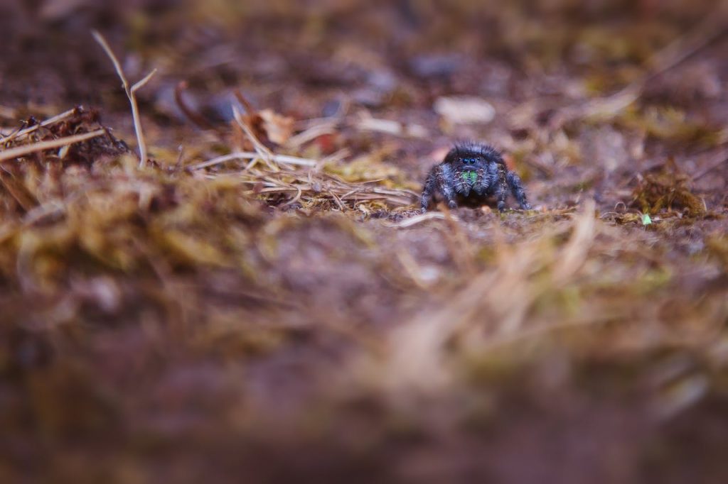 cloud migration companies