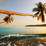 top beaches in andaman