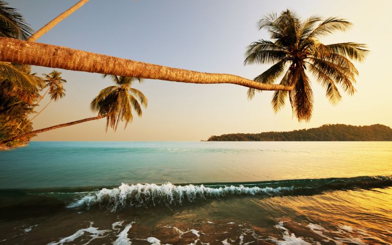 top beaches in andaman