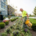 commercial yard maintenance services