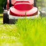 grass cutting and lawn care service