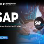 sap sd output determination user exits