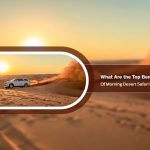 morning desert safari dubai