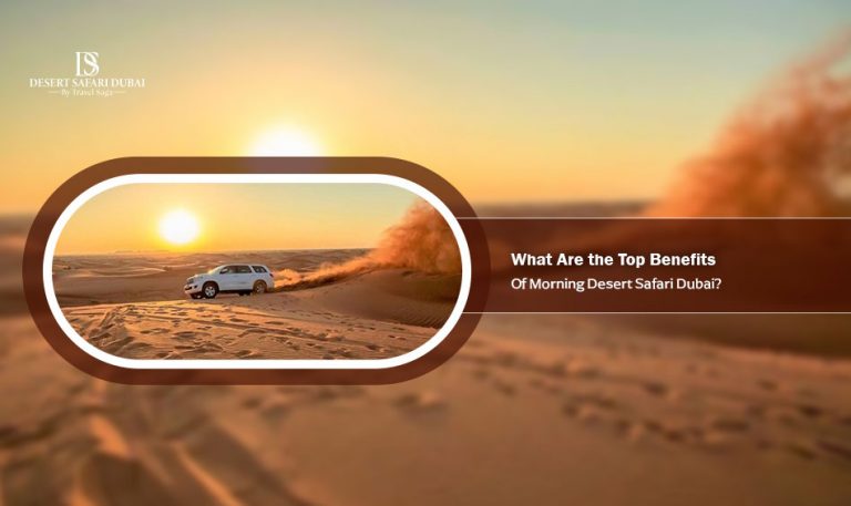 What are the Top Benefits of Morning Desert Safari Dubai?