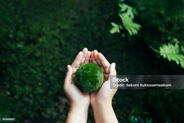 How to Reduce Your Carbon Footprint at Home