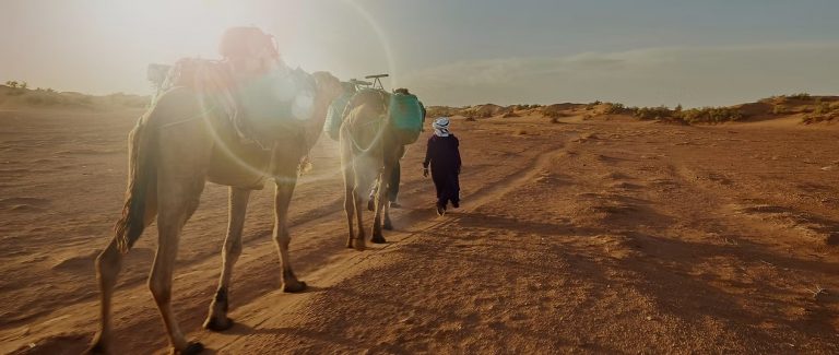 How a Private Tour Enhances Your Travel Freedom and Comfort?