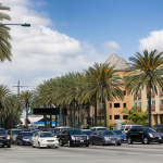 professional black car service