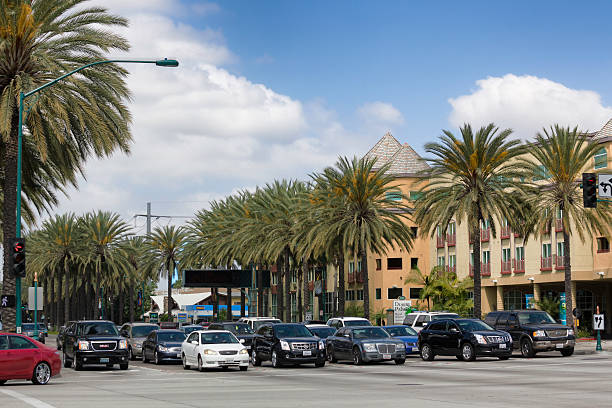 professional black car service