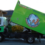 downsizing revolution