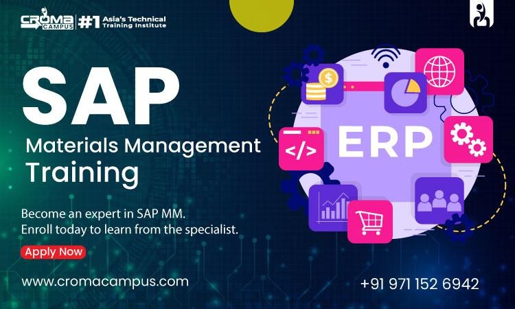 Everything Professionals Can Do With SAP MM