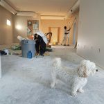 painting contractors in hollywood