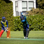 live cricket scores api