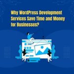 wordpress development