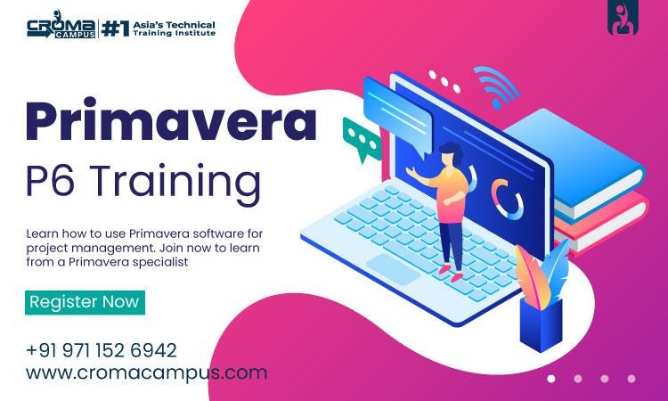 primavera p6 thresholds and indicators