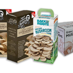 custom mushroom boxes