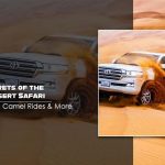 evening desert safari