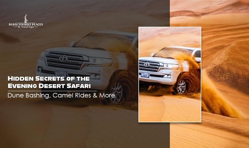 evening desert safari