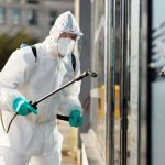 natural pest control home