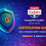 cybersecurity analysts