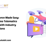 video telematics