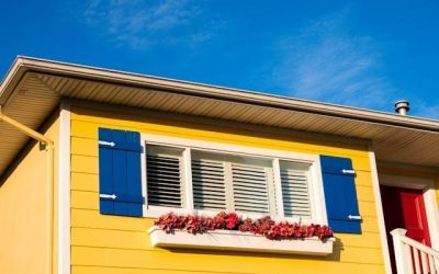 exterior color choice