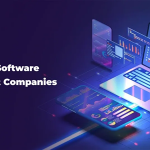 custom software development