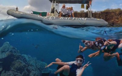 honolua bay snorkeling