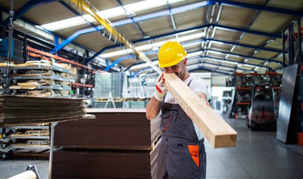 Plywood Manufacturing Plant Project: Sustainable Material Guide